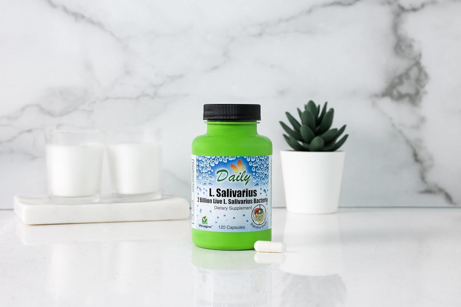Daily Manufacturing L-Salivarius (Probiotic)