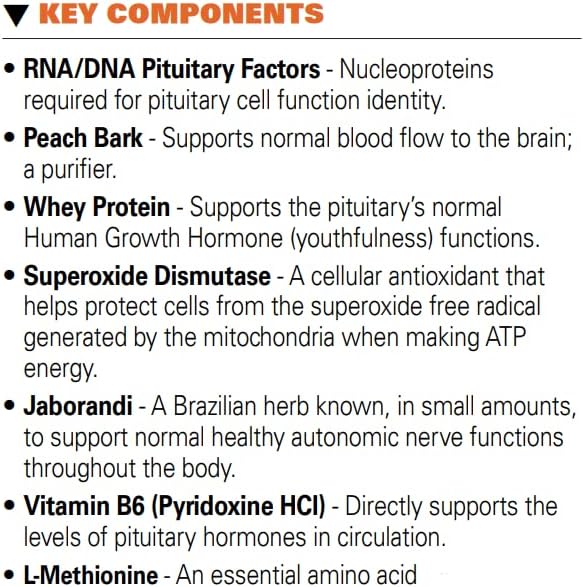 Systemic Formulas #32 Bio Function Gb Pituitary/Pineal