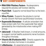 Systemic Formulas #32 Bio Function Gb Pituitary/Pineal