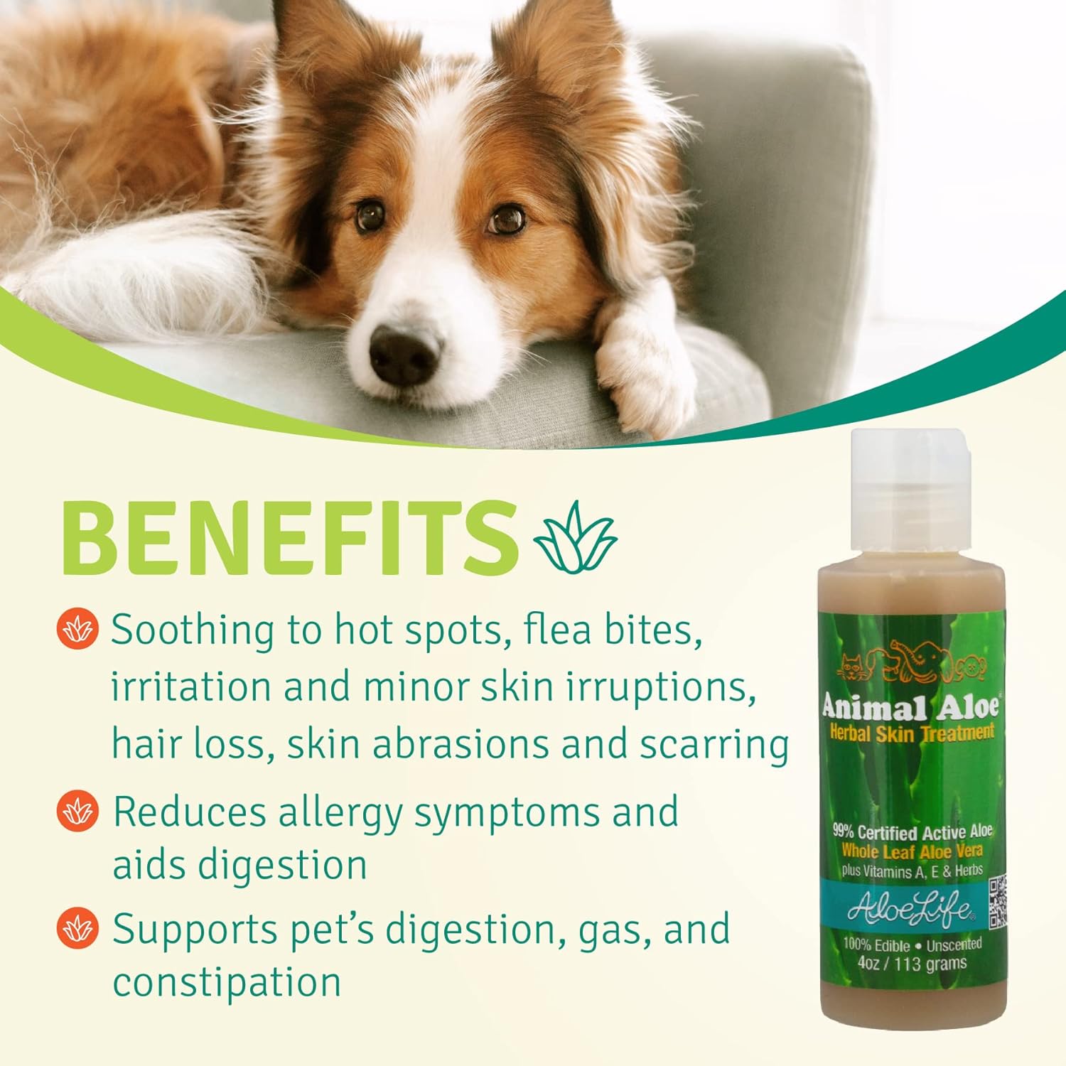 Aloe Life - Animal Aloe, Pet-Safe Digestive Aid & Skin Treatment Gel