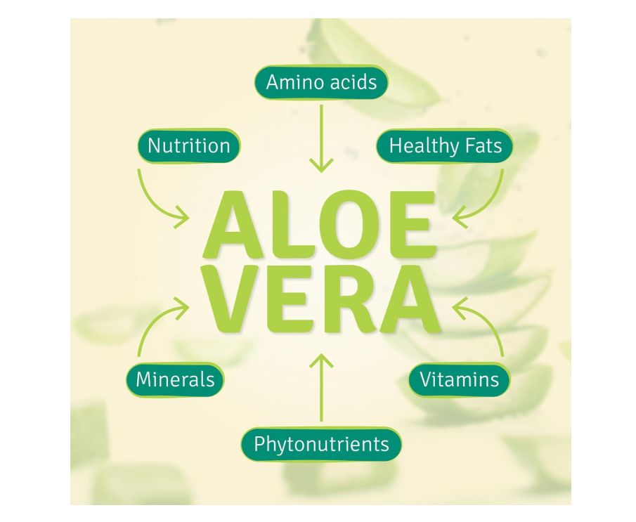 Aloe Life - Whole Leaf Aloe Vera Juice, Certified Organic, Gluten-Free