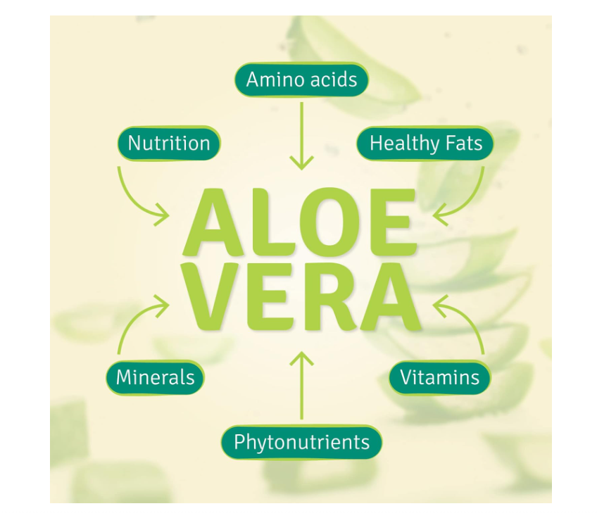 Aloe Life - Aloe Gold Tablets, Immune Support & Healthy Herbal Bitters, Supports Proper Digestion, Promotes Energy & Body Wellness, Certified Organically Grown Whole Leaf Aloe Vera Leaves