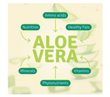 Aloe Life - Stomach Plus Formula, Fast-Acting Tonic for Children, Adults, & Seniors, Supports Healthy Digestion & Helps to Soothe Gas, Bloating, & Nausea, Aloe Vera Concentrate, Gluten-Free