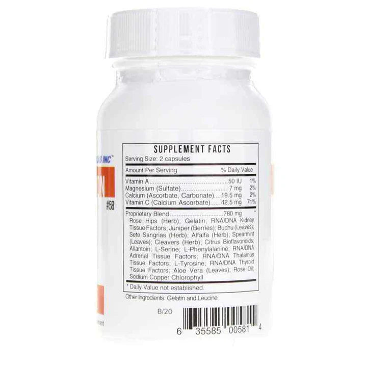 Systemic Formulas Bio Function Ks Kidney